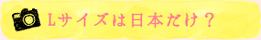 Lサイズは日本だけ？